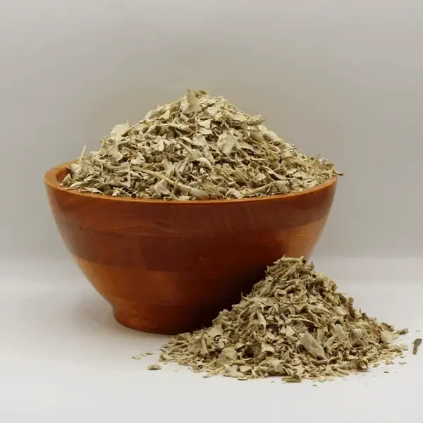 Atriplex (قطف مالح)