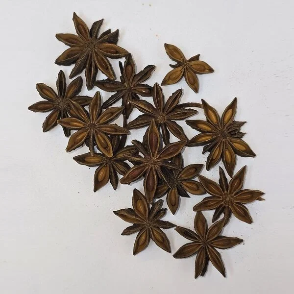 Badiane - Anis Étoilé (نجمة الارض)