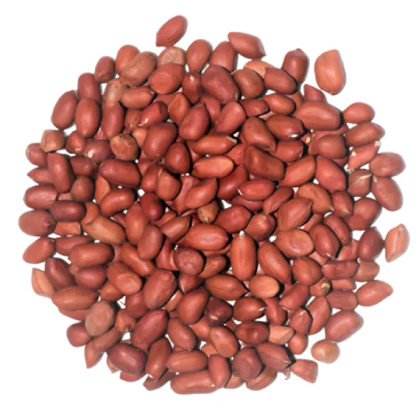 Cacahuète Rouge (فول سوداني أحمر)