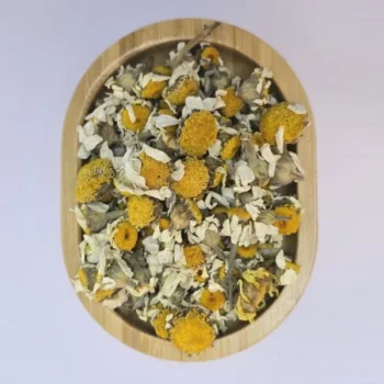 Camomille (البابونج)