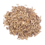 Chardon Marie (شوك الجمل)