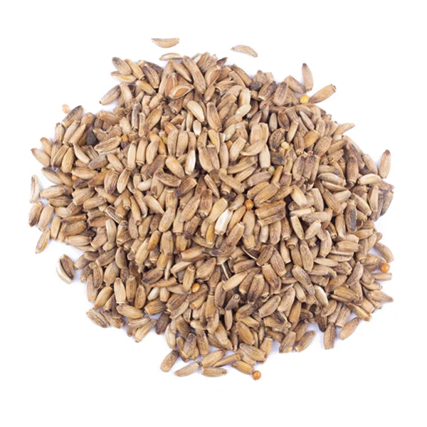 Chardon Marie (شوك الجمل)