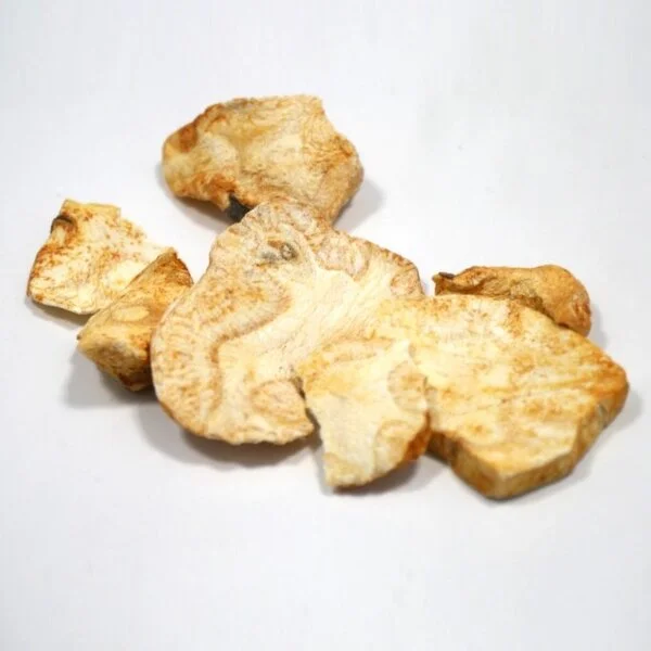 Châtaigne de Terre (تلغودة)