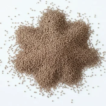 Couscous Ballot (طعام البلوط)