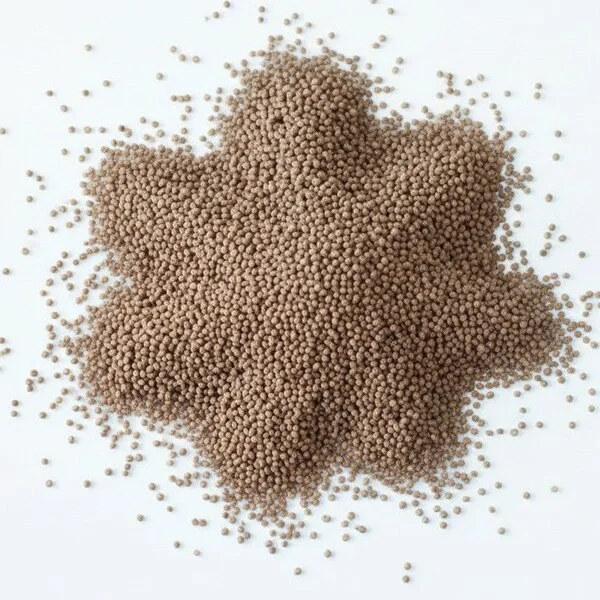 Couscous Ballot (طعام البلوط)