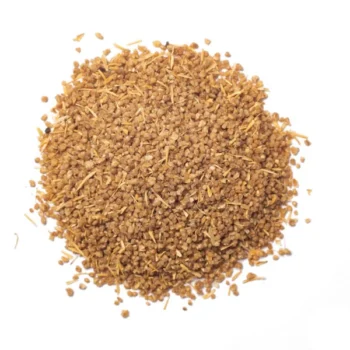 Couscous d'Orge (كسكس الشعير)