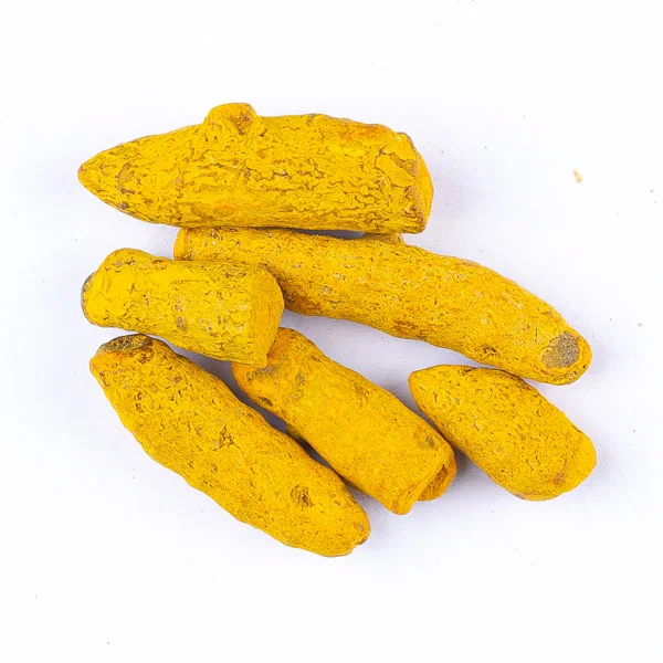 Curcuma en Racine (كركم عود)