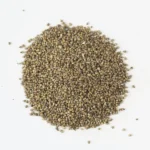 Éleusine en Grains – Sorgho (بذور البشنة)