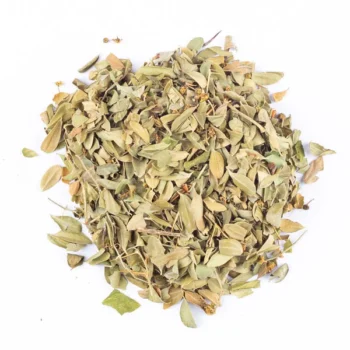 Feuilles de Jujubier (اوراق السدر)