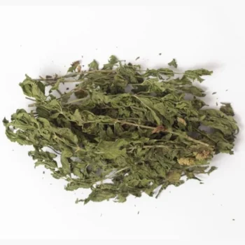 Feuilles de Menthe (نعناع ورق)