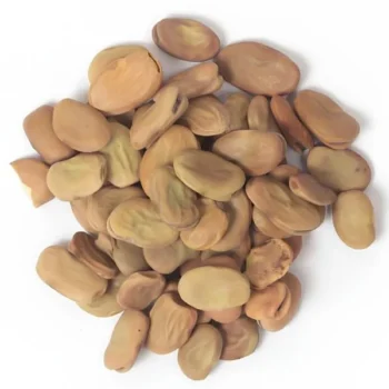 Foul Séché (فول يابس)