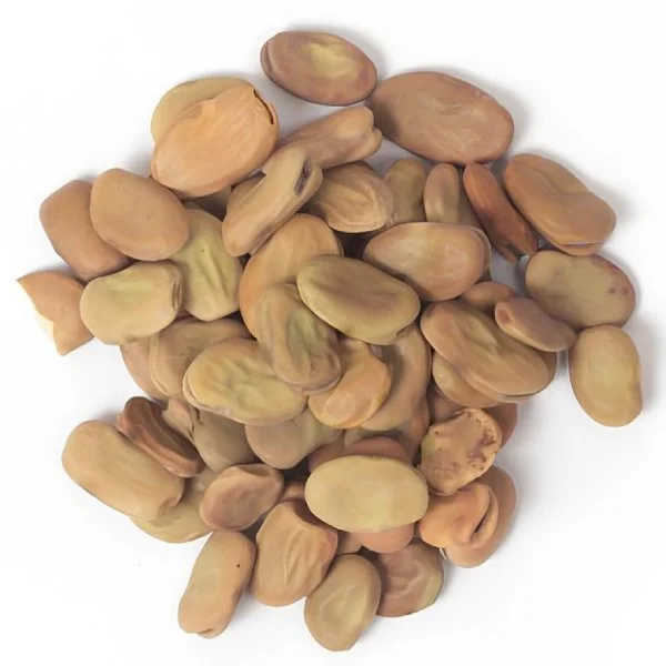 Foul Séché (فول يابس)