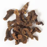 Galangal (الخولنجان)