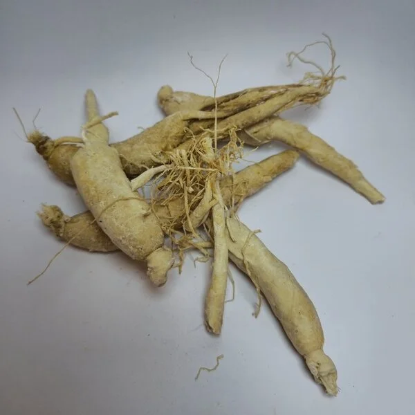 Ginseng Blanc (جينسينغ أبيض أصلي)