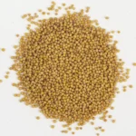 Graines de Moutard Jaune (بذور الخردل الصفراء)