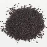 Graines de Moutard Noir (بذور الخردل السوداء)