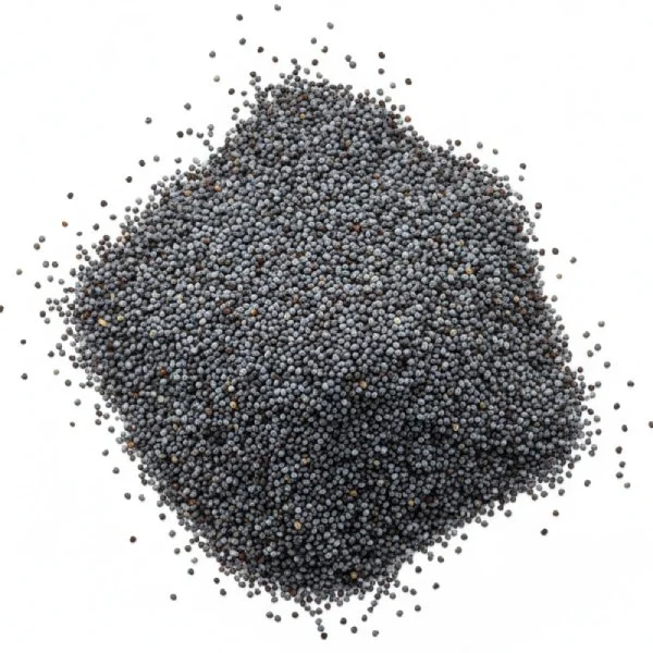 Graines de Pavot (بذور الخشخاش)