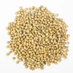 Grains de Soja (حبوب الصويا)