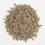 Grains de Tourne Sol (بدور دوار الشمس)