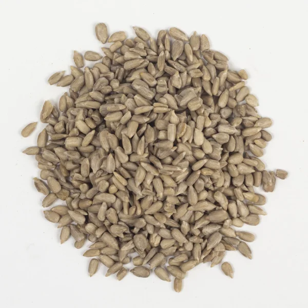 Grains de Tourne Sol (بدور دوار الشمس)