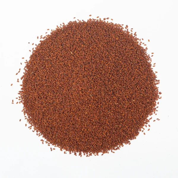 Hab El Rachad (حب الرشاد)