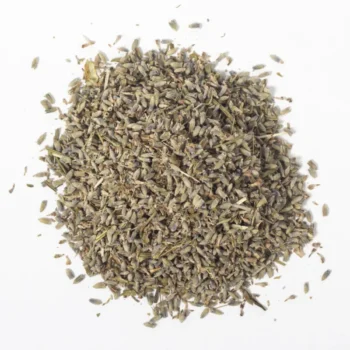 Lavande (الخزامة)