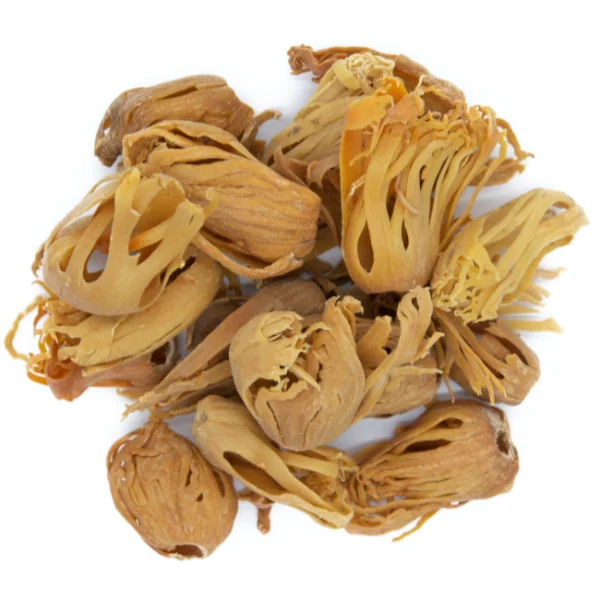 Macis Bsibisa (بسيبسة)