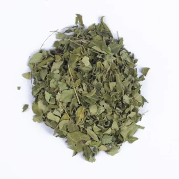 Moringa (المورينقا)