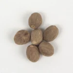 Noix de Muscade (جوز الطيب)