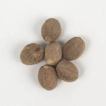 Noix de Muscade (جوز الطيب)