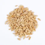 Pignon Pin Blanc (حبوب الصنوبر)