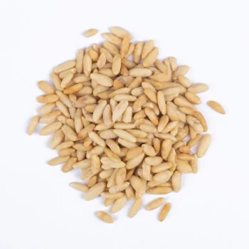 Pignon Pin Blanc (حبوب الصنوبر)