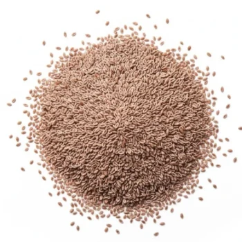 Psyllium (قاطونة)