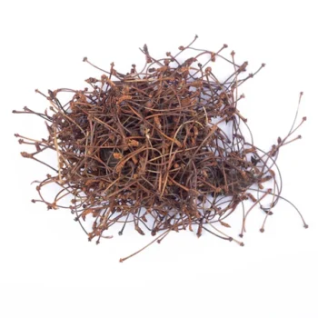 Queue de Cerise (أذناب الكرز)