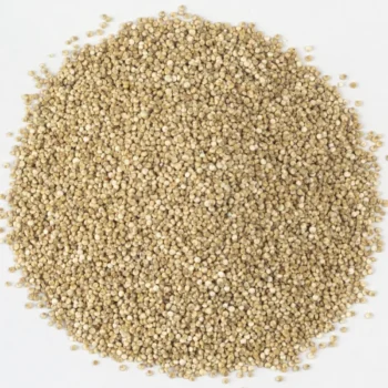 Quinoa (الكينوا)