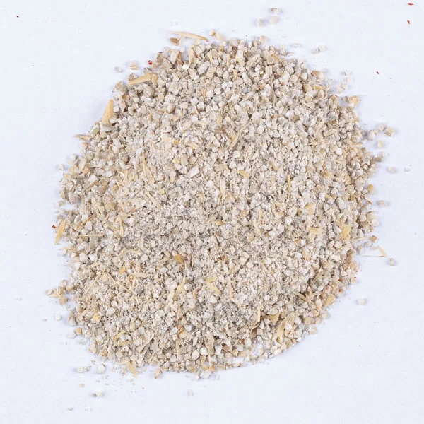 Tchicha (دشيشة)