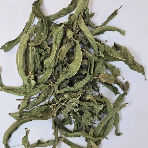 Tisane Verveine (تيزانة اللويزة)