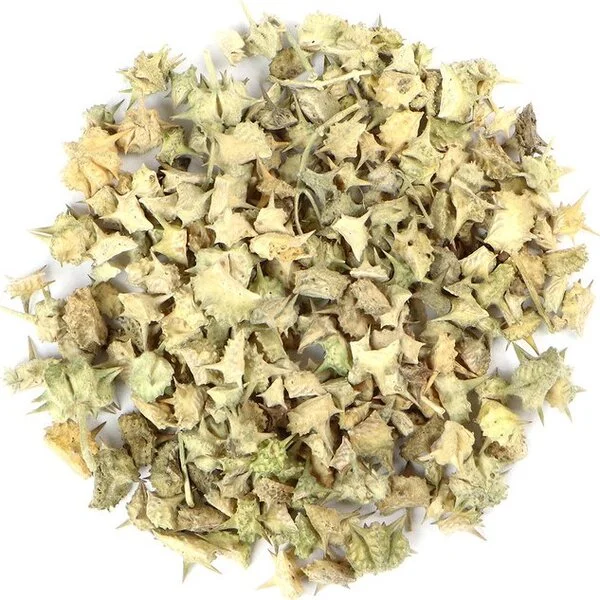 Tribulus (الحسكة)