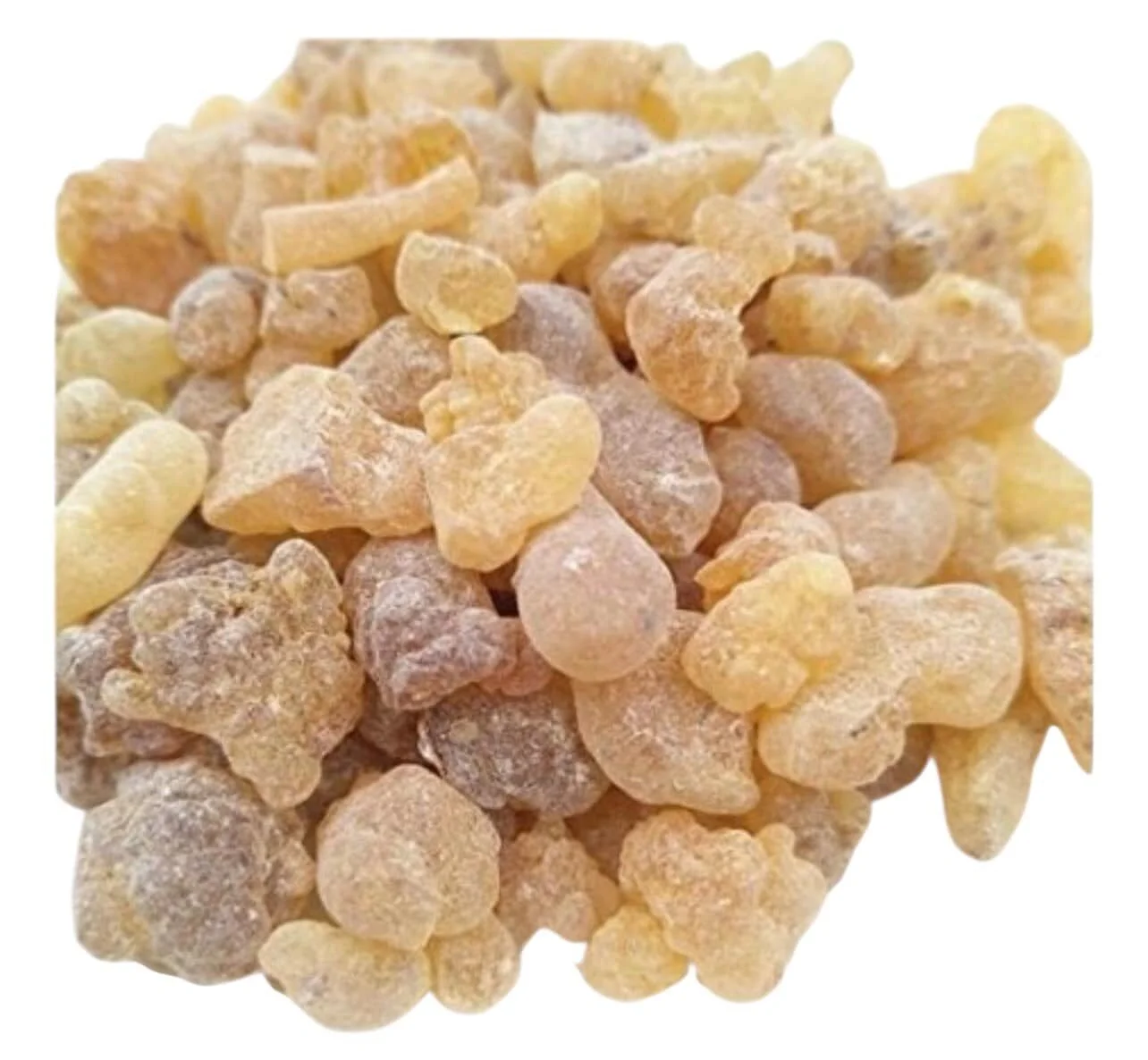 Encens-Loubane-Oliban-حبوب-اللبان-nour-orient
