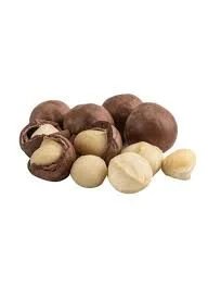 Noix de Macadamia (المكاديميا)